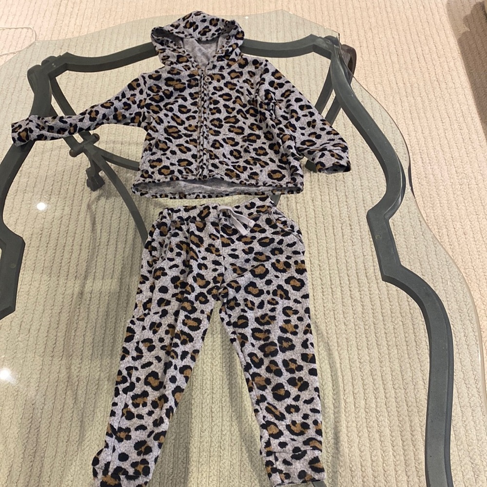 Cozii 4t sweatsuit